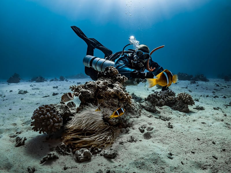 Scuba Diving Expeditions